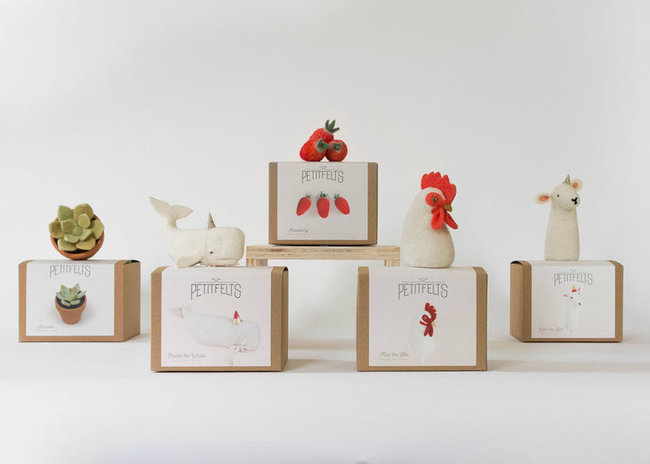 PetitFelt Needle Felting Kits