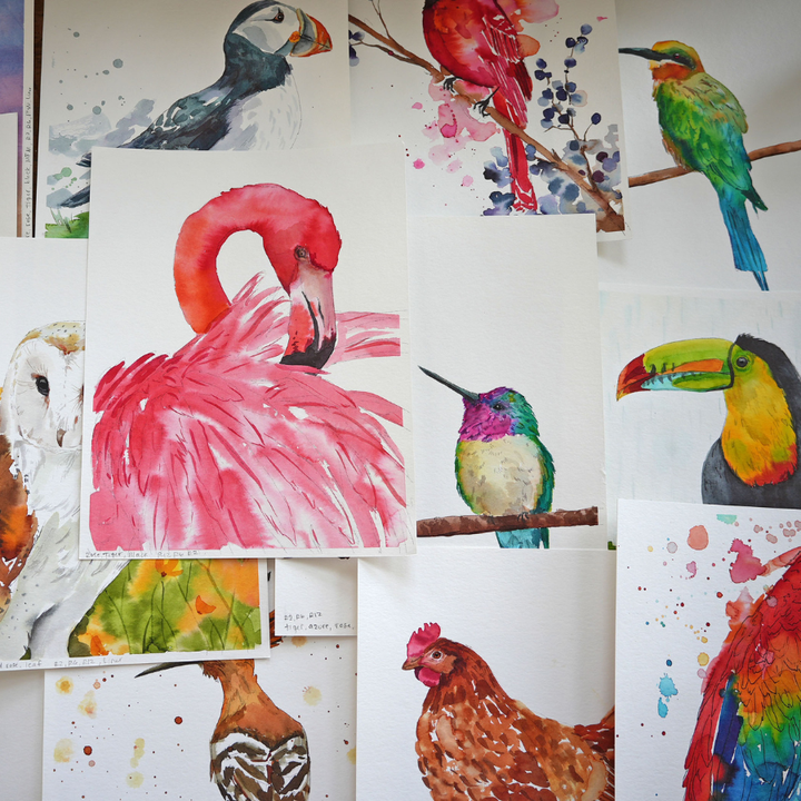 Sarah Cray Watercolor Workbooks