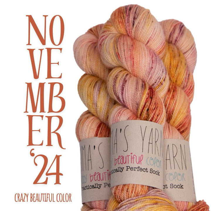 Emma's Yarn Crazy Beautiful Color Club--November 2024