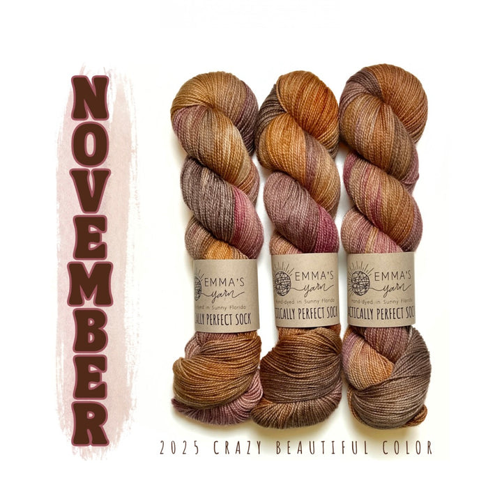 Emma's Yarn Crazy Beautiful Color Club--November 2025