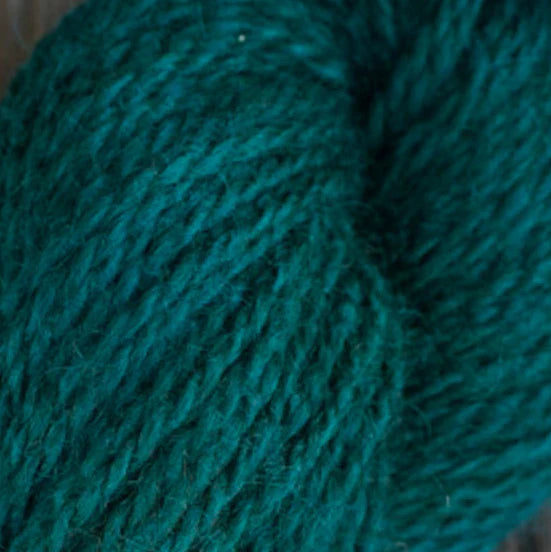 North Bay Fiber Elemental Sport