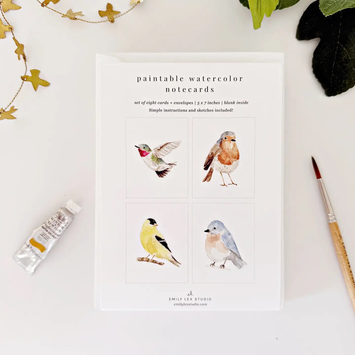 Emily Lex Paintable Greeting Notecards