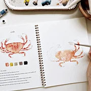 Emily Lex Studios Watercolor Workbooks